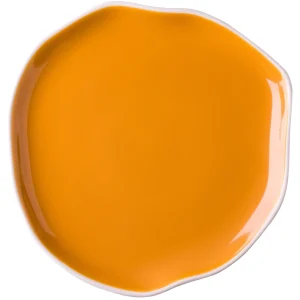 Irregular Orange Ceramic Decorative Plate